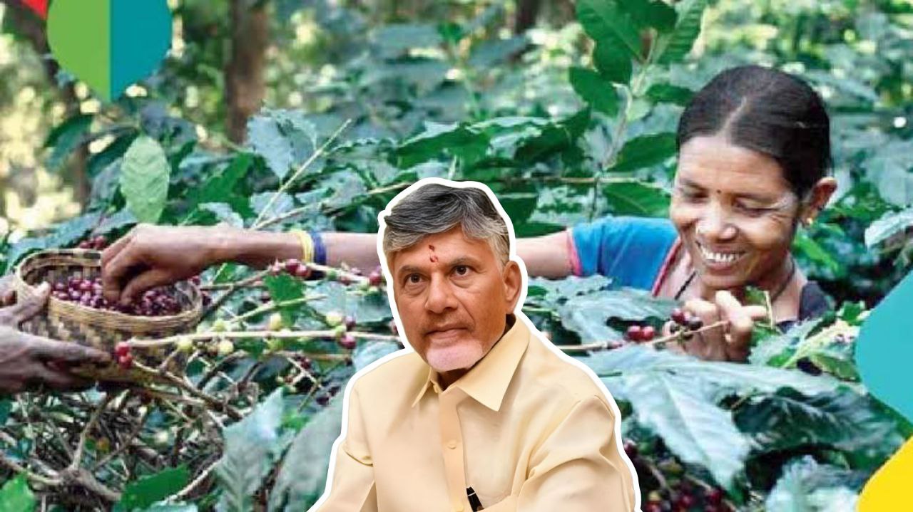 Araku Valley Coffee, a symbol of Andhra Pradesh’s rich tribal heritage and organic farming excellence.