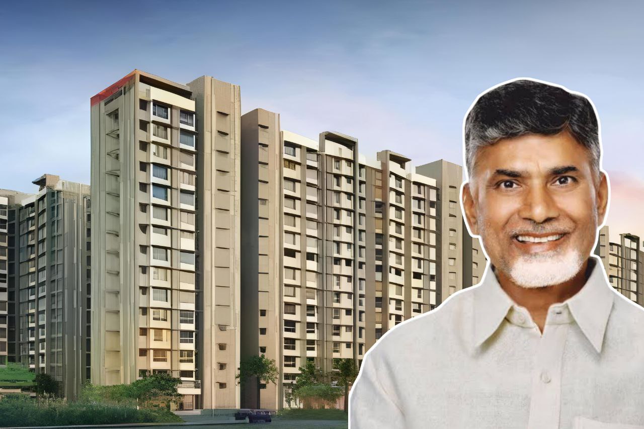 Happinest Project Updates